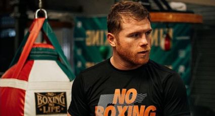 “Una prueba genuina”: un ex campeón del mundo reveló quiénes podrían complicar a Canelo Álvarez