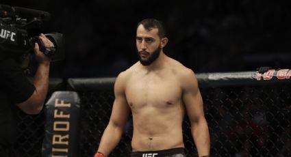 "Qué codo": la reverencia de Dominick Reyes a Jiri Procházka luego de su derrota en UFC Vegas 25