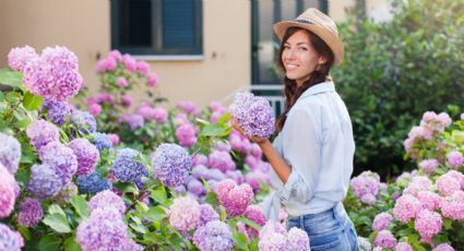 Mucho cuidado: las plantas que no debes tener en tu casa si no quieres atraer la mala suerte