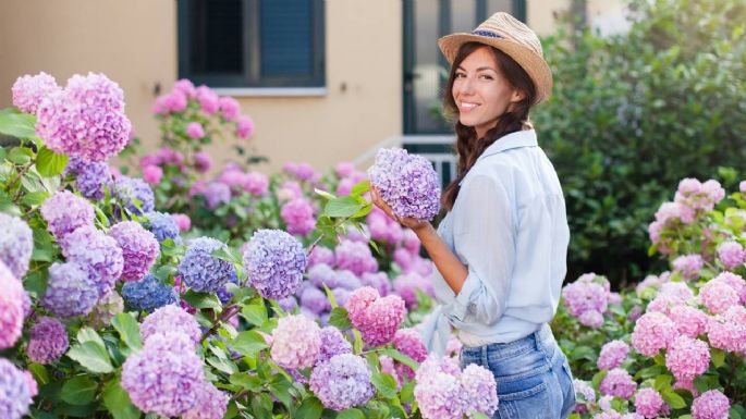 Mucho cuidado: las plantas que no debes tener en tu casa si no quieres atraer la mala suerte