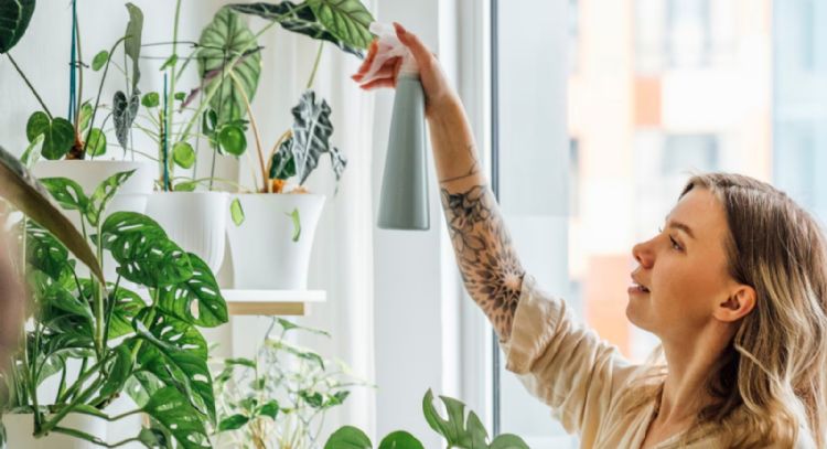 Acaba con las plagas: el secreto para mantener las plantas de tu jardín de manera económica