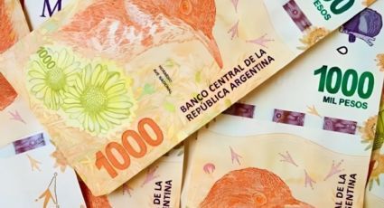 Pagan hasta millones: el billete de 1000 pesos que buscan todos los coleccionistas