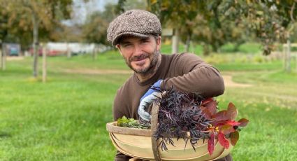 Del fútbol a cuidar el jardín: los consejos de David Beckham para cultivar plantas