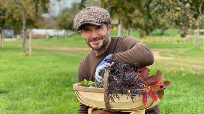 Del fútbol a cuidar el jardín: los consejos de David Beckham para cultivar plantas