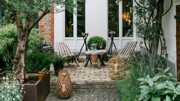 Para un jardín pequeño: las plantas que le darán un toque distintivo a tu hogar según los expertos