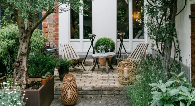 Para un jardín pequeño: las plantas que le darán un toque distintivo a tu hogar según los expertos