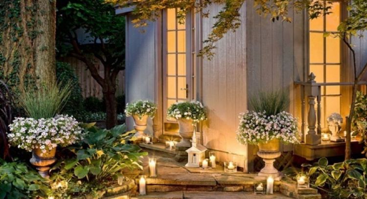 Con ellas podrás tener un "jardín lunar": las plantas que se convirtieron en tendencia