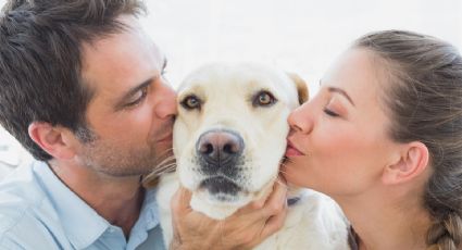 ¿Ayudan a alargar la vida?: el estudio que te convencerá de tener mascotas en tu casa