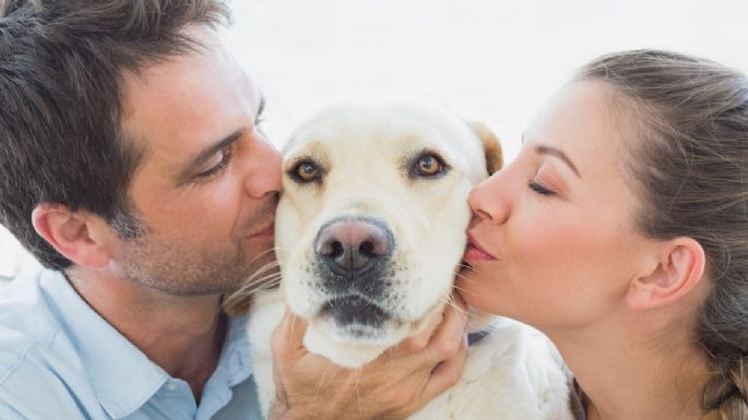 ¿Ayudan a alargar la vida?: el estudio que te convencerá de tener mascotas en tu casa