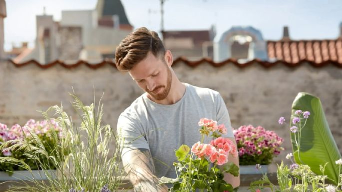 Si tienes un espacio soleado: las mejores plantas para tener en el jardín