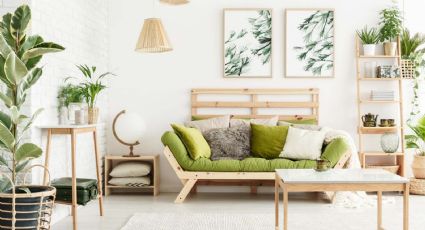 Eco-friendly: conoce todo sobre la nueva decoración que es tendencia en el mundo entero