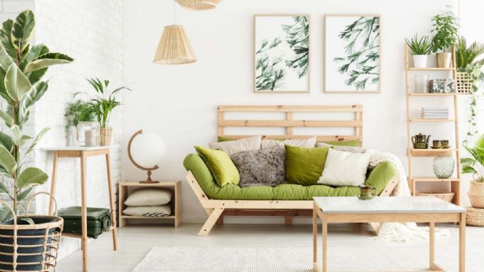 Eco-friendly: conoce todo sobre la nueva decoración que es tendencia en el mundo entero