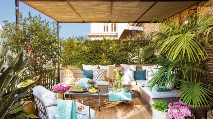 Son tendencia: las plantas para poder dejar tu terraza impecable