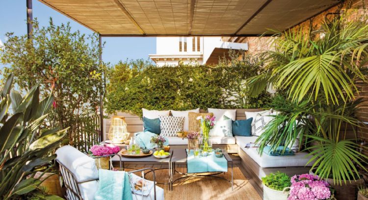 Son tendencia: las plantas para poder dejar tu terraza impecable