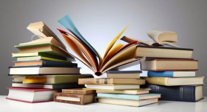 No termines el año sin leerlos: los libros más recomendados de este 2024