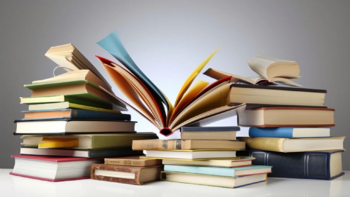 No termines el año sin leerlos: los libros más recomendados de este 2024
