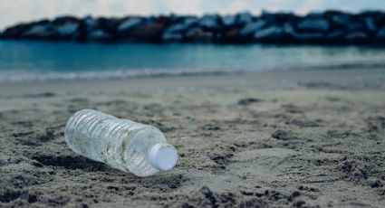 Le puedes dar múltiples usos: por qué no debes tirar las botellas de agua una vez terminadas