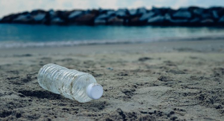 Le puedes dar múltiples usos: por qué no debes tirar las botellas de agua una vez terminadas