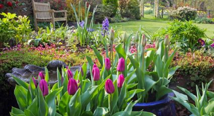 Para el exterior: cinco detalles que podrían cambiar para siempre la decoración de tu jardín