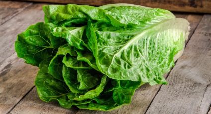 ¿Te sobró lechuga?: el delicioso platillo que puedes preparar para el almuerzo o la cena