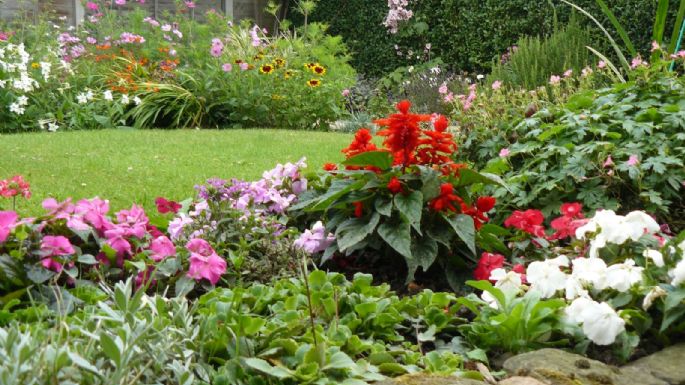 Que su belleza no te confunda: las plantas más peligrosas que puedes tener en tu jardín