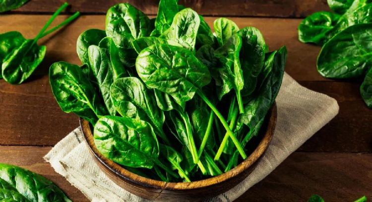 Alimento anti edad: cuida tu cuerpo con esta planta que te harÃ¡ bajar de peso y reducirÃ¡ tus arrugas